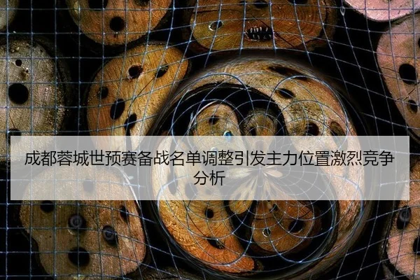 cheng-du-rong-cheng-shi-yu-sai-bei-zhan-ming-dan-tiao-zheng-yin-fa-zhu-li-wei-zhi-ji-lie-jing-zheng-fen-xi-2-836.jpg